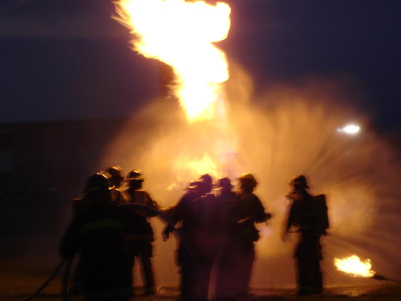 Picture 033 